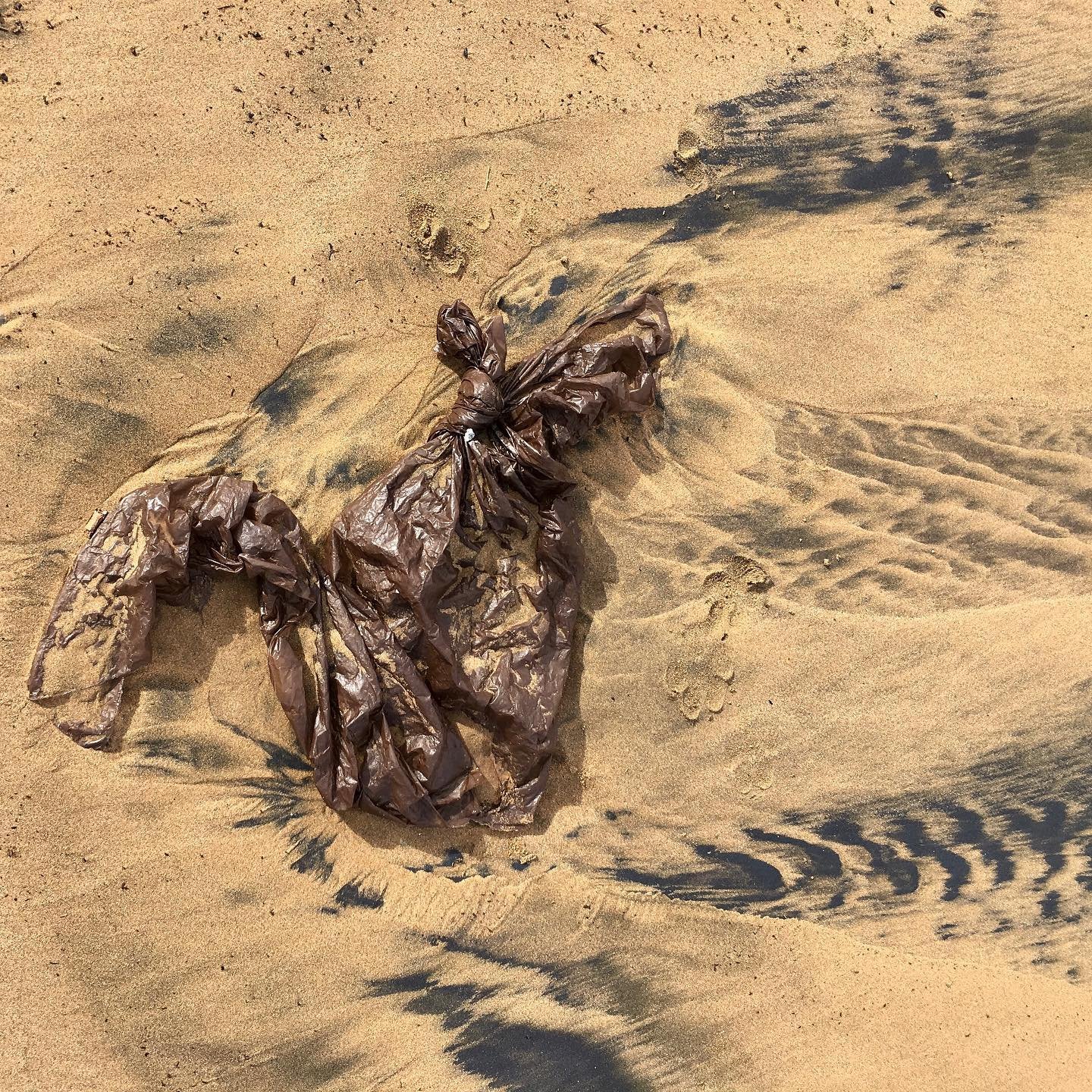 This photo captures the harsh reality of plastic pollution on our beaches. Every year, millions of tons of plastic find their way into nature and the ocean, wreaking havoc on wildlife and breaking down into harmful microplastics. By responsibly creat