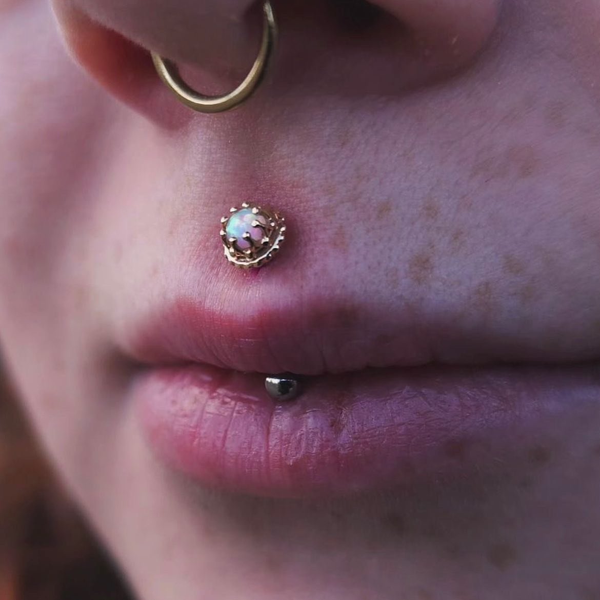 One of our gold top pierced by @mattholomeww  over at @redloontattoo !

#infinitebodyvancouver #bodyjewelry #piercings