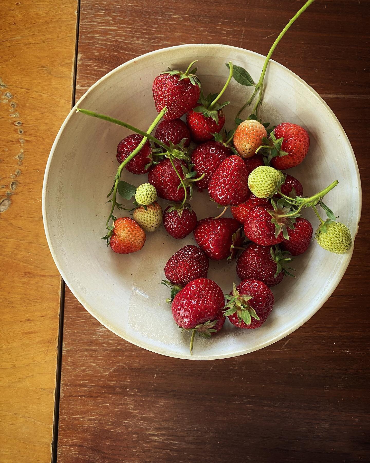#Erdbeeren pfl&uuml;cken ist in der Vorstellung total romantisch, aber in echt echt ein Pain in the ass. Aber egal, jetzt sind sie da. Was soll ich daraus machen, was mit Erdbeeren liebt ihr am meisten? 🍓🍰☀️