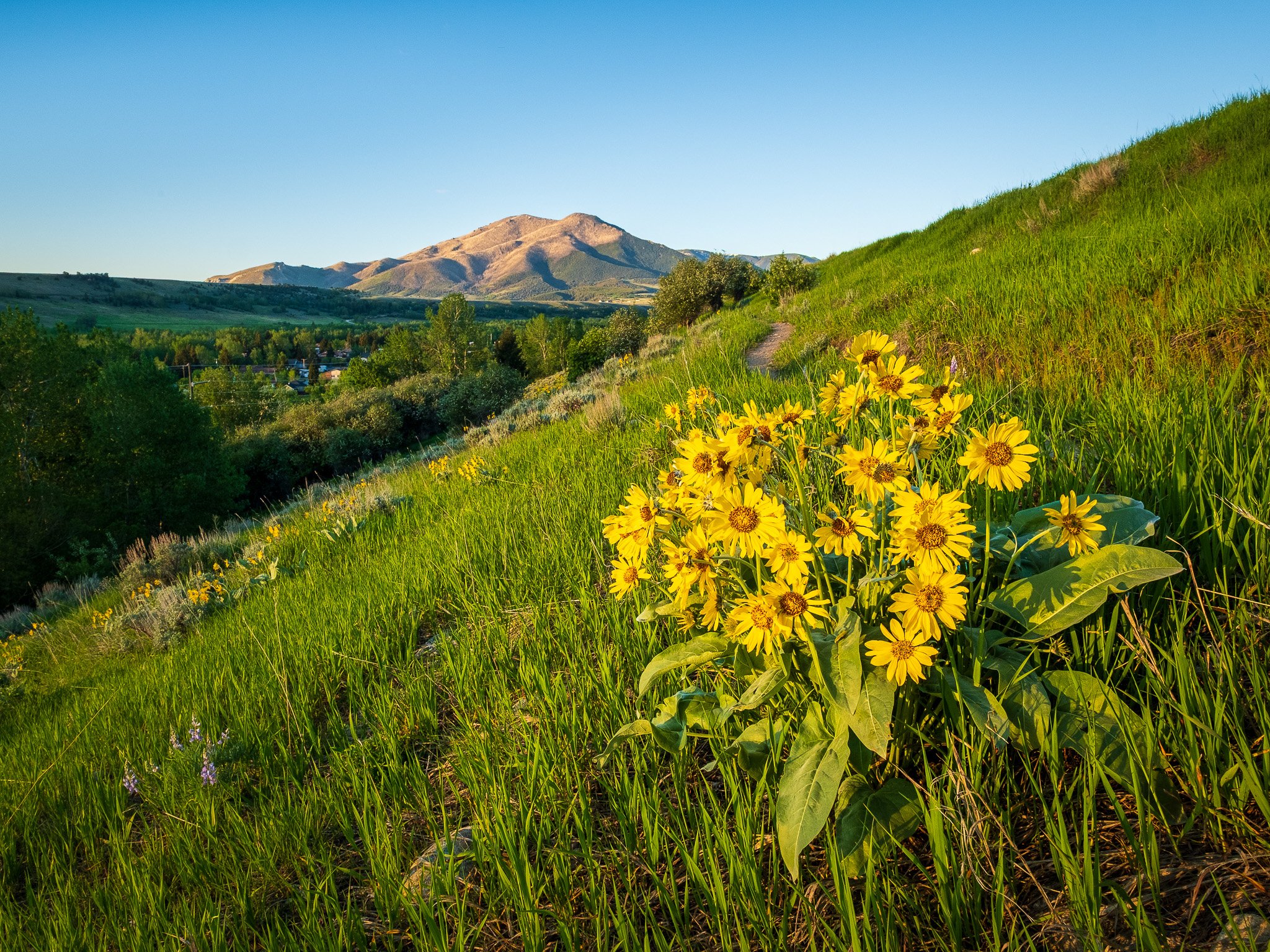 Spring Mornings in Red Lodge-Website-2.jpg