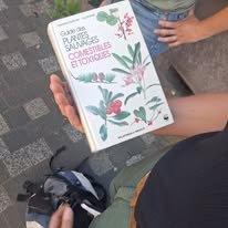 Plantes de la ville