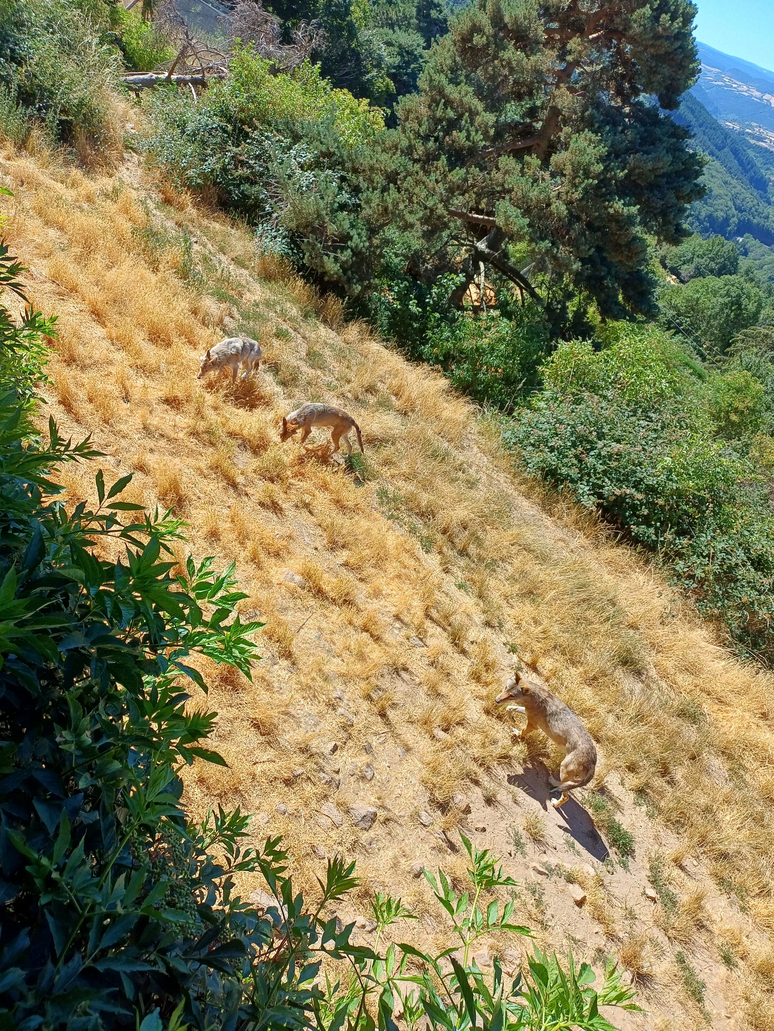 20260705_111216.jpg
