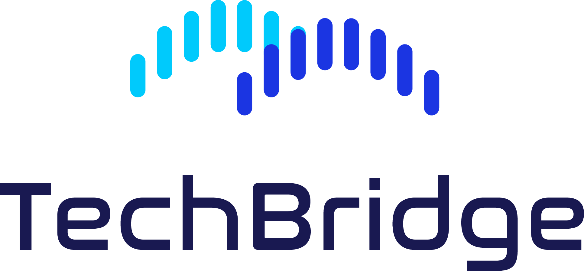 Techbridge Solutions Techbridge Logo TechBridge Distribution MENA Collaborates With Newland