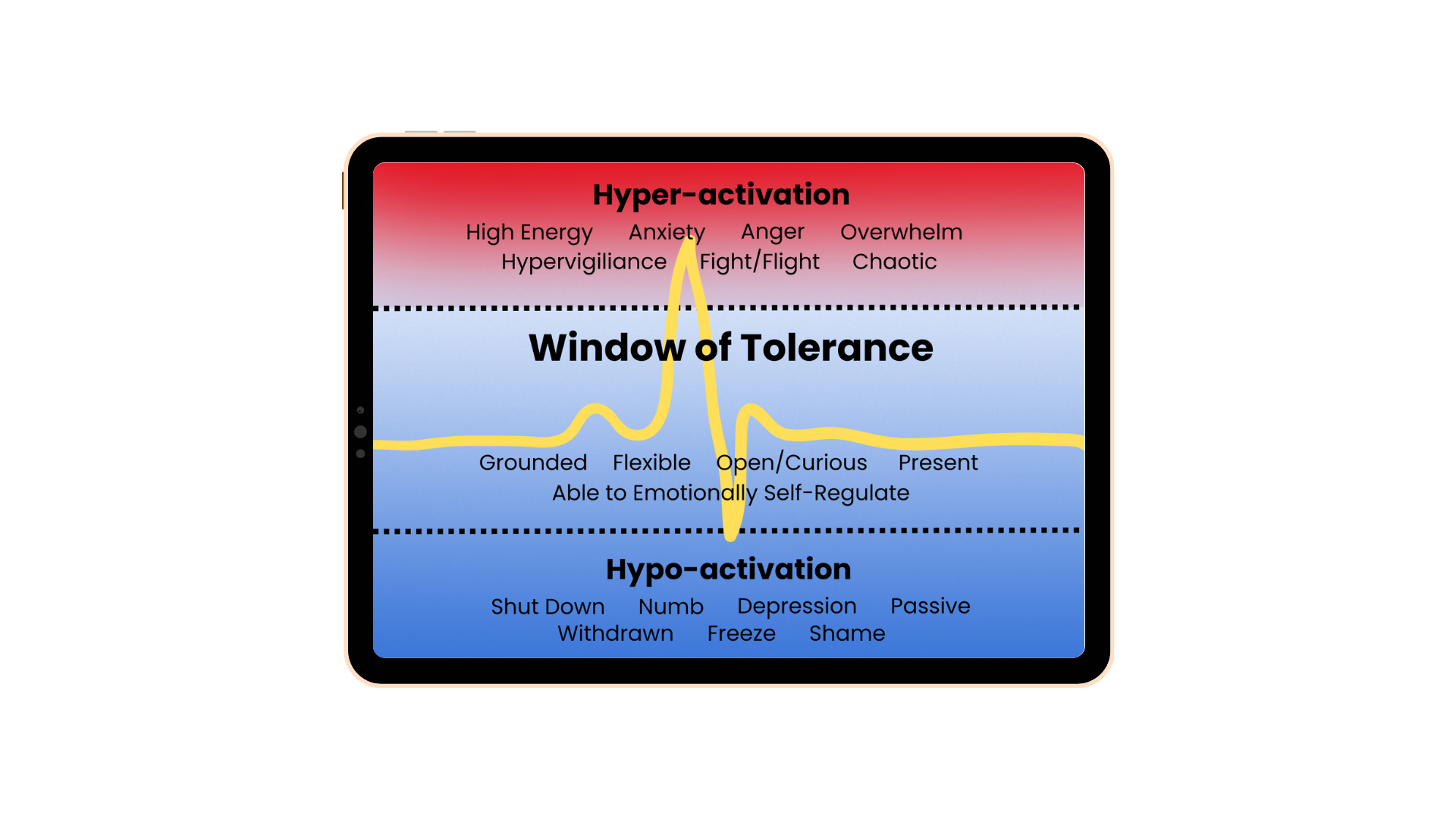 Window of Tolerance