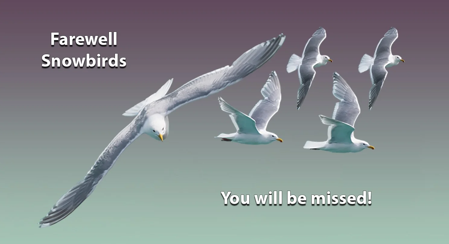 Snowbirds - farewell.jpg
