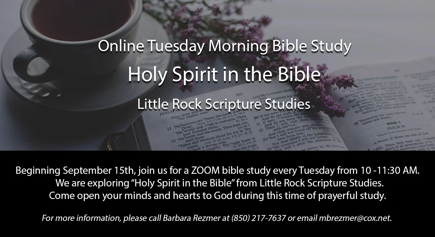 Holy Spirit in the Bible ZOOM BS begins 9-15-26.jpg