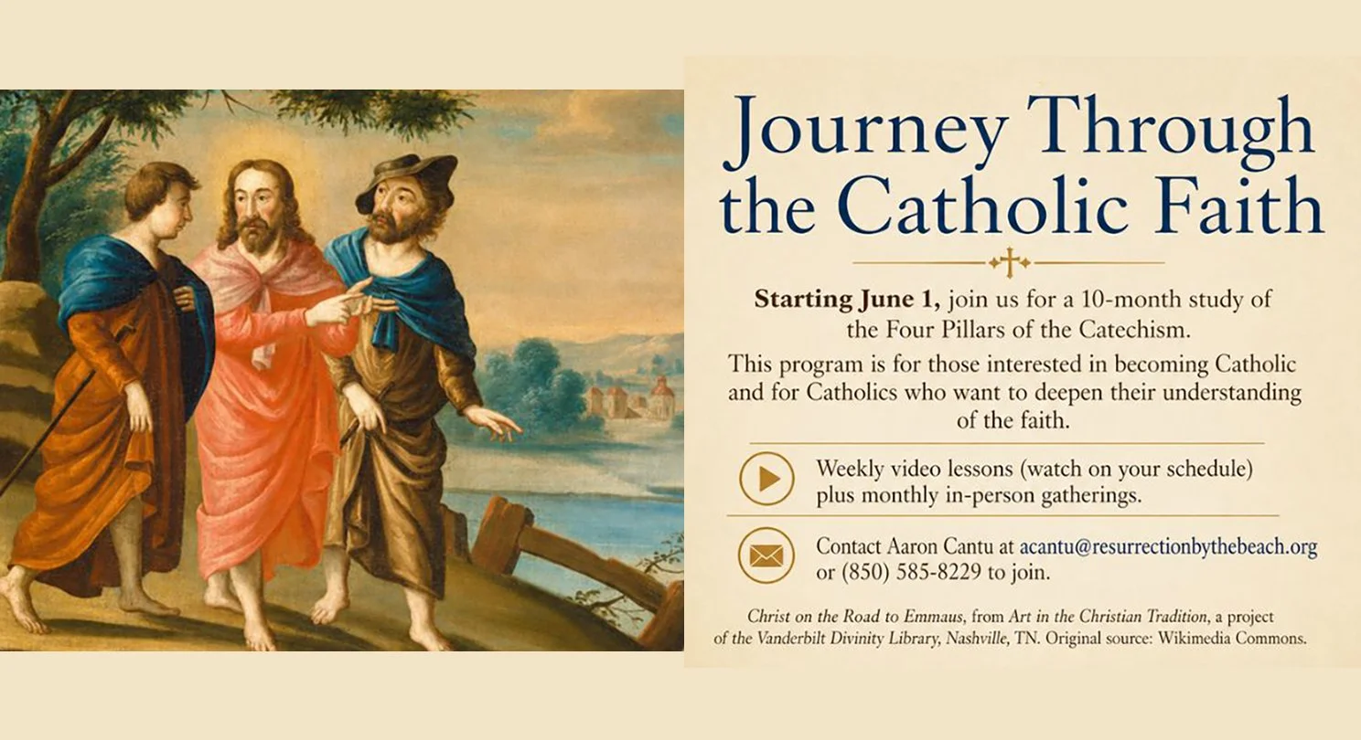 Journey Through The Catholic Faith.jpg