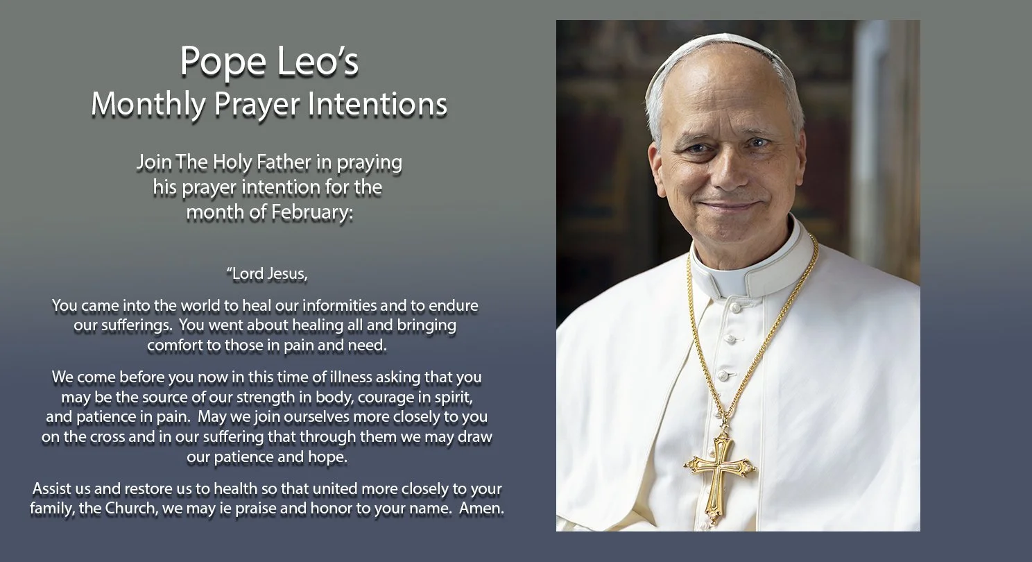 Pope Leo - February Intentions.jpg