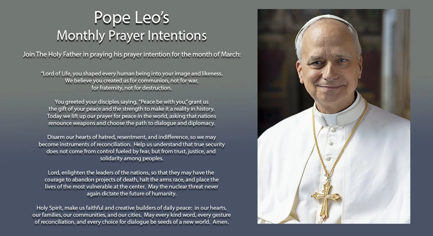 Pope Leo - March 2026.jpg