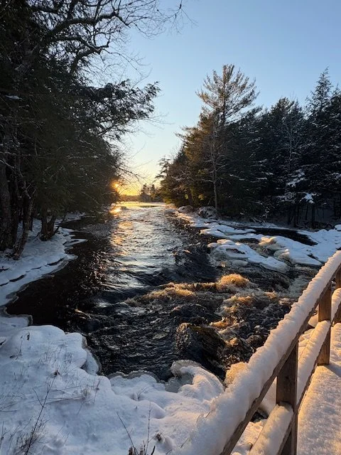 Sunny Days and Family Stays