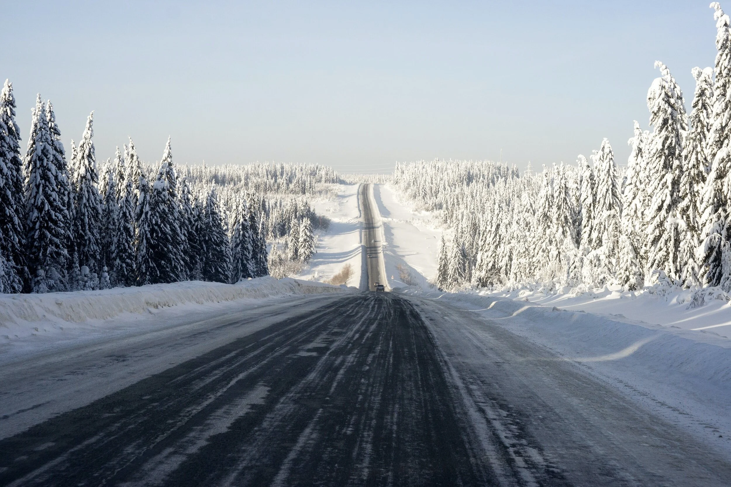This image shows a snow-covered road stretching into the distance, flanked by dense evergreen forests coated in thick snow. The scene captures a serene winter landscape under a clear blue sky, emphasizing the untouched beauty of a snowy countryside.