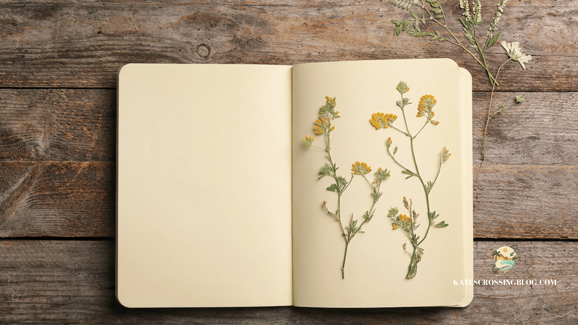 Pressed flowers in travel journal