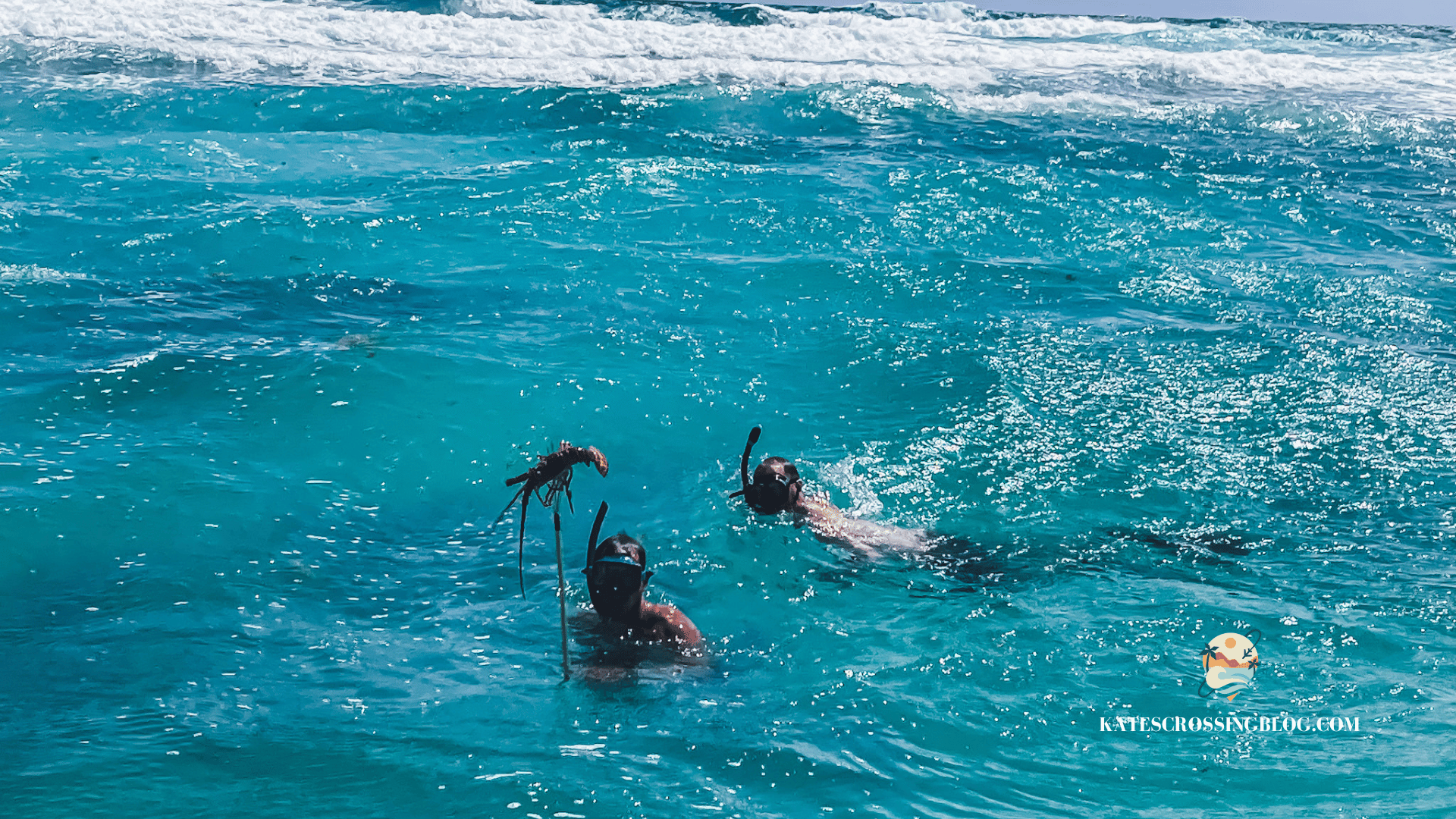 Kate's husband and another man snorkeling in the turquoise waters of Belize holding up a spear gun with a lobster on the end of it. 