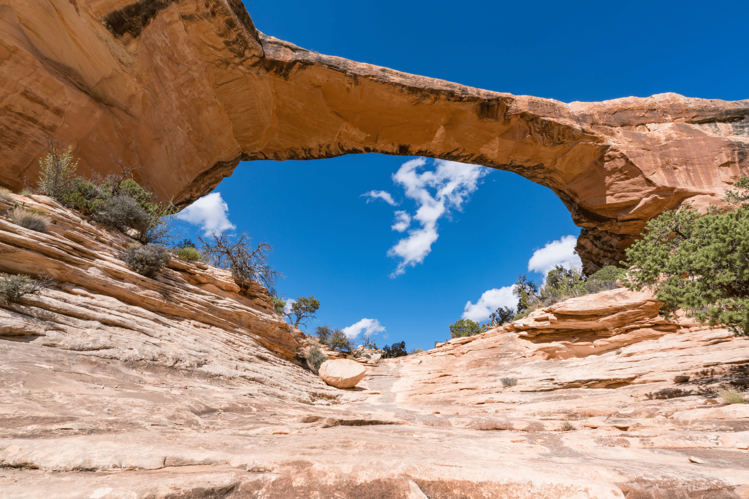 Natural Bridges National Monument