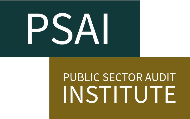 Public Sector Audit Institute