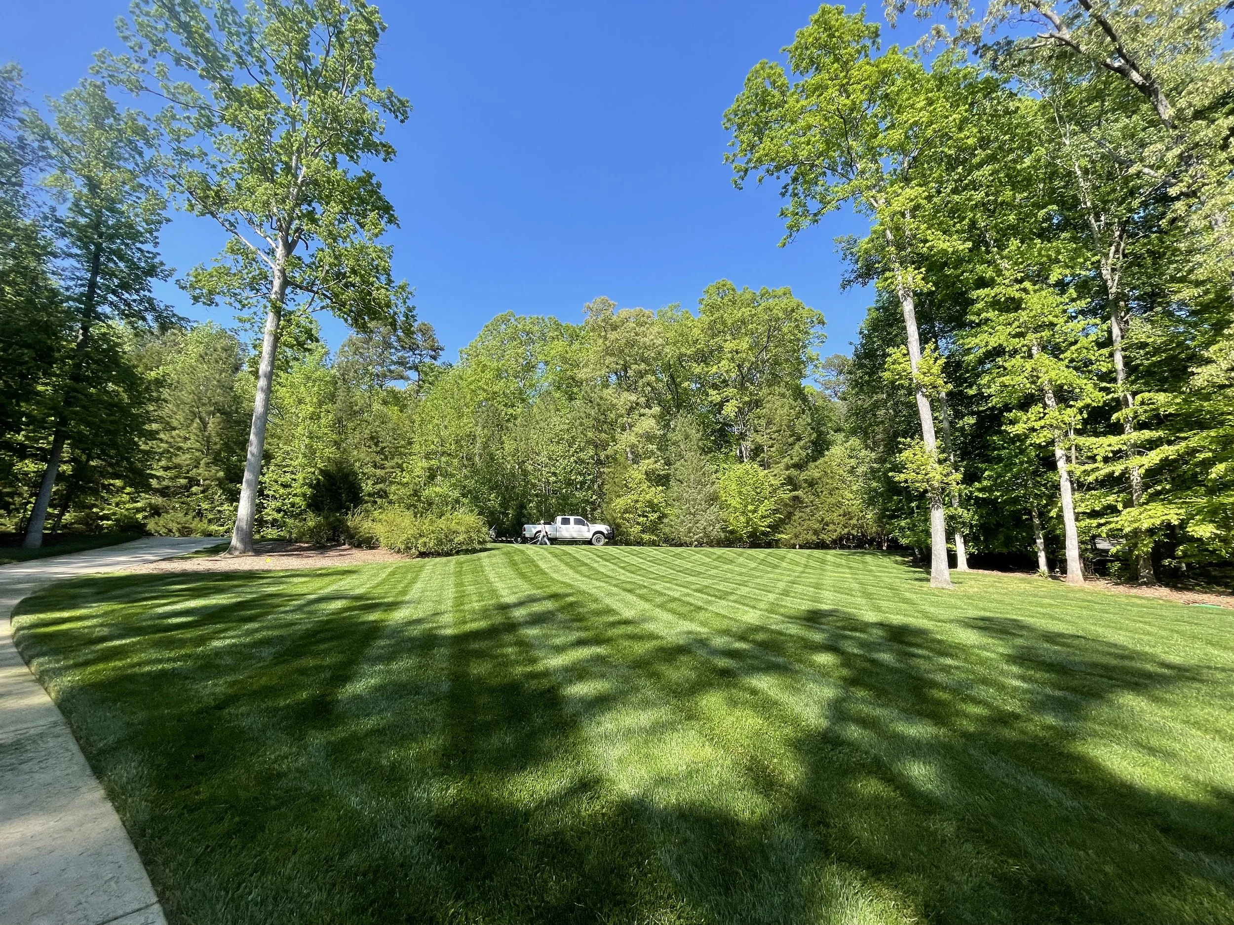 Fresh plants and mulch for a driveway