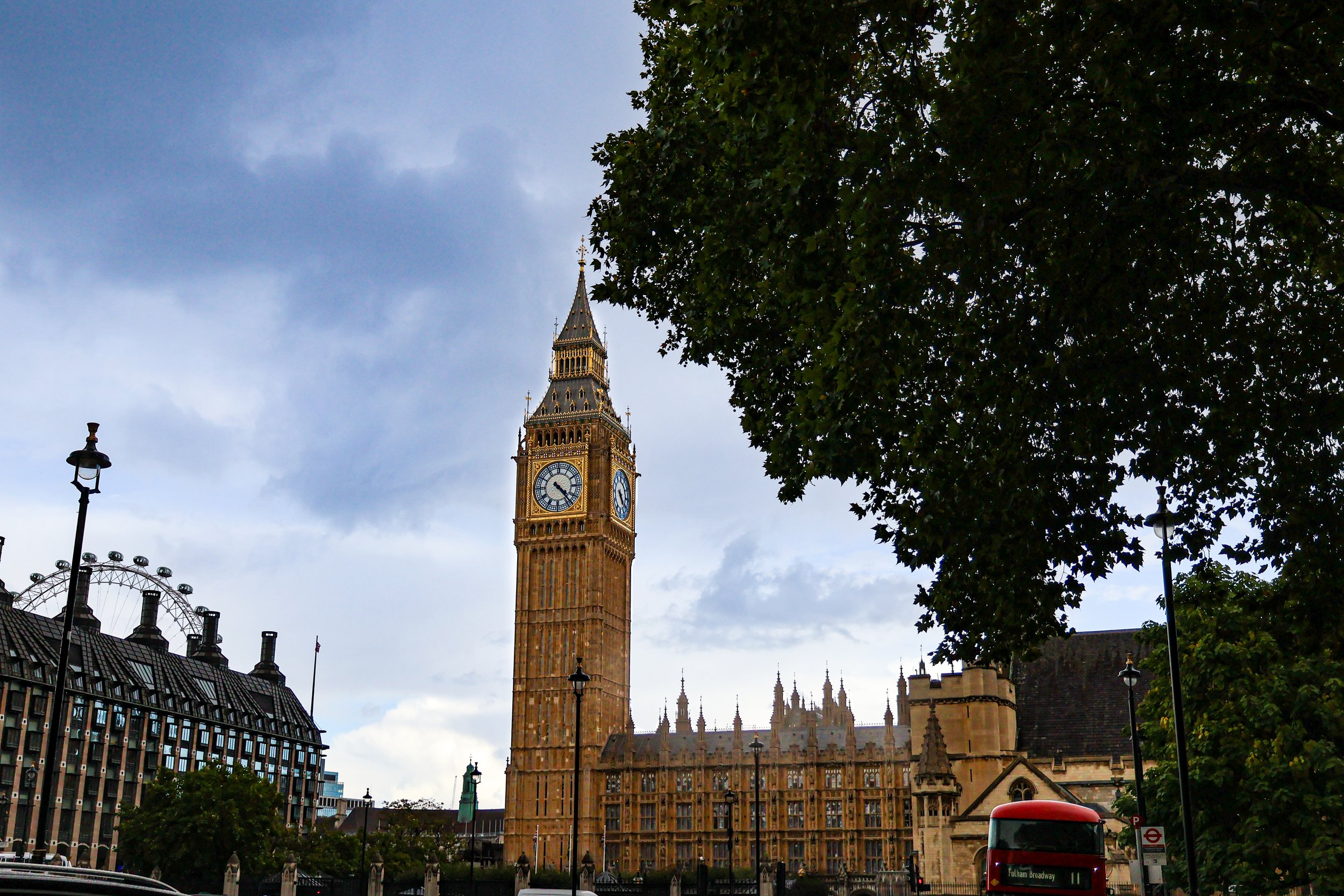 IMG_0729.jpg