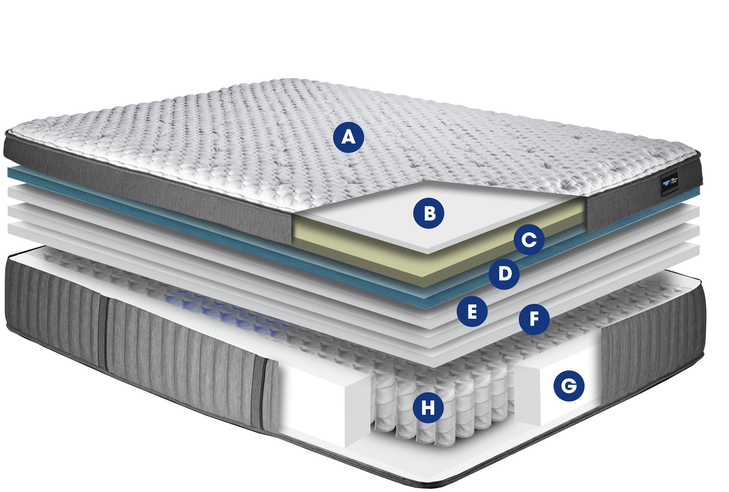 Michelle CF — Spring Air