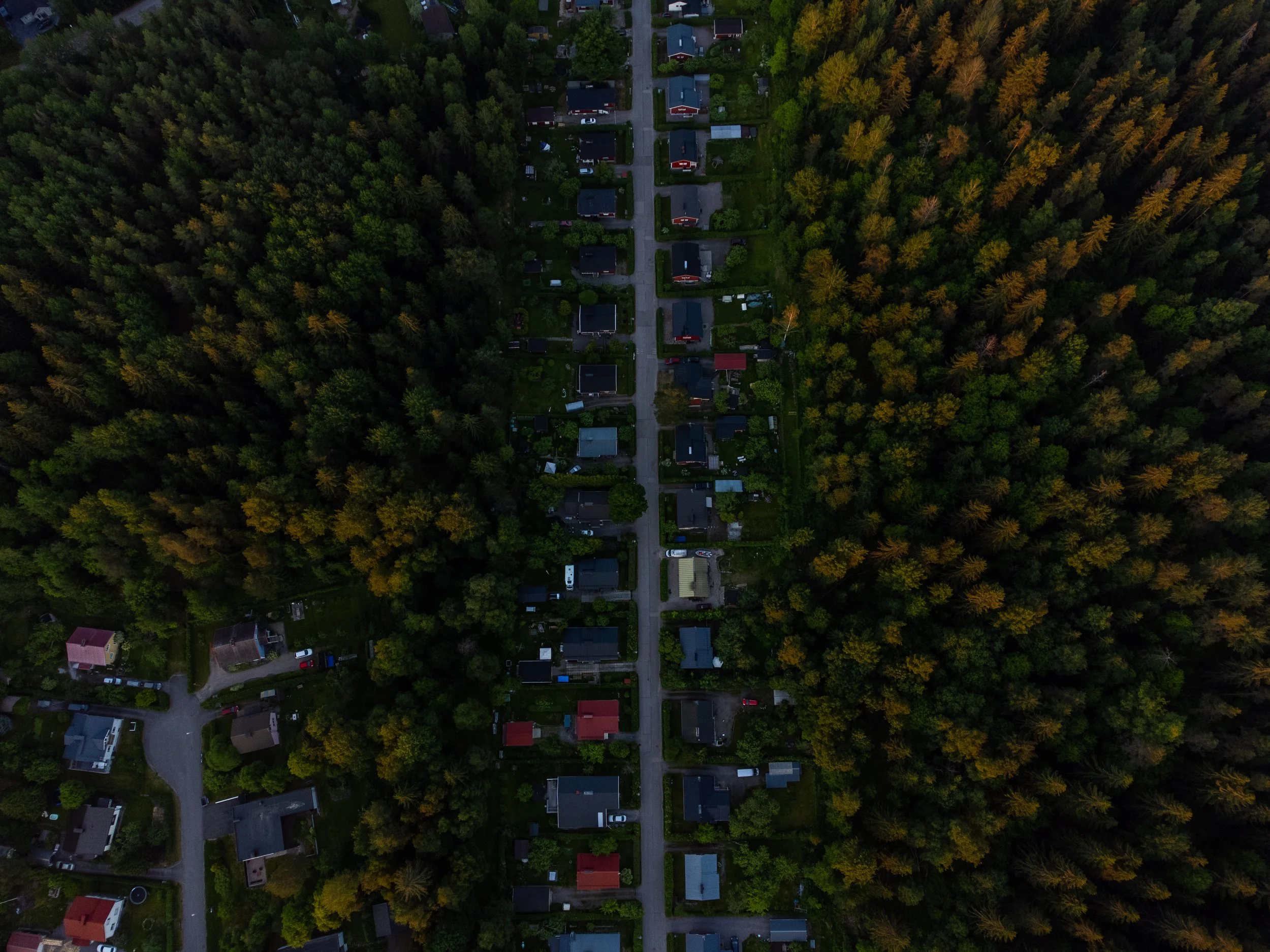 Omakoti kullan kallis (10 of 2).JPG