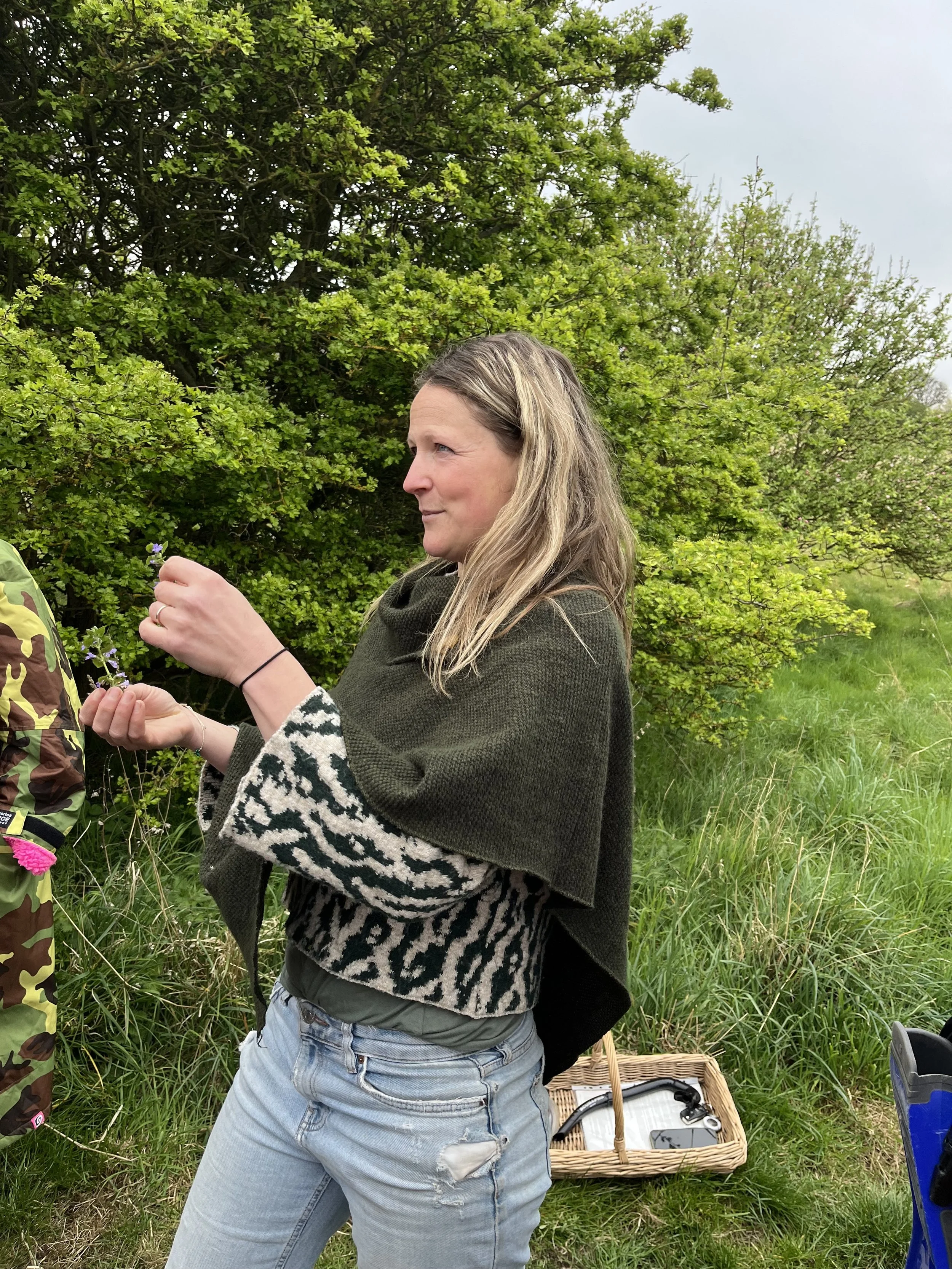 Wild-plant walk - Dirleton