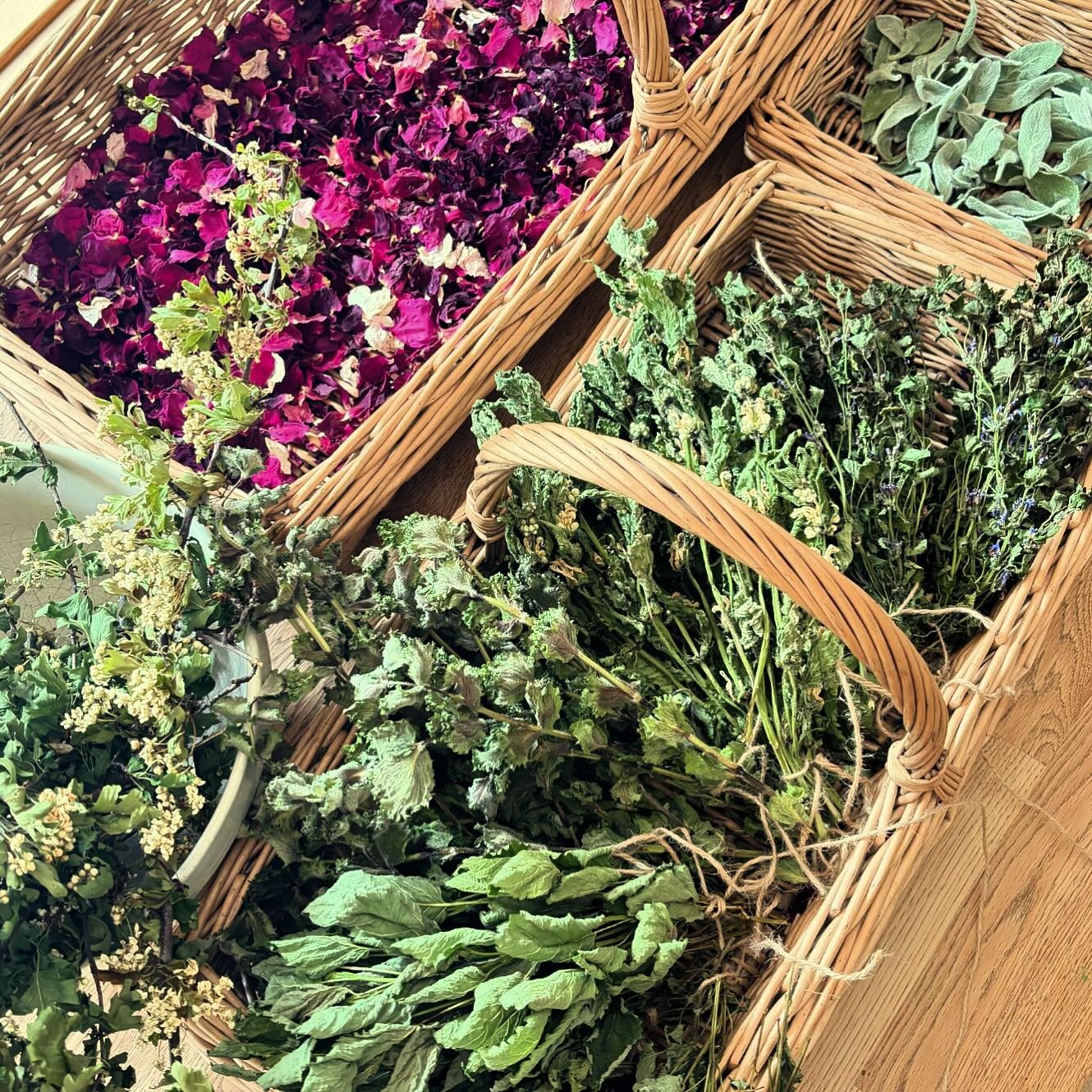 A flurry of herbs for tonight&rsquo;s wall hanging workshop! 🌿
Are you coming along? 
It&rsquo;s not too late if you have a last minute urge to herbal! 😆

https://thehoneybeesanctuary.org/shop/p/may-herbal-workshops