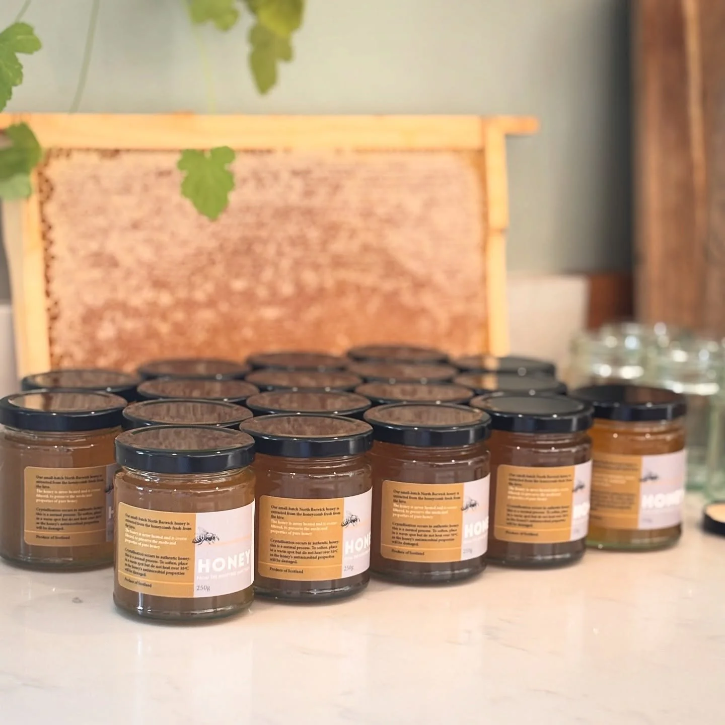 It&rsquo;s been a honey harvestin&rsquo; sorta day! 🍯🧡Happy, healthy, healing honey ✨

If you&rsquo;re local or passing by NB, order a jar from the website&hellip; it&rsquo;s a beaut of a batch! 👌