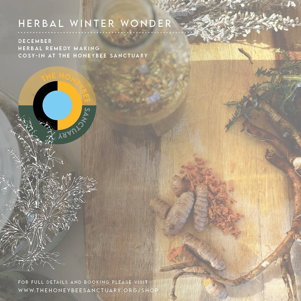 🤍🌿 Winter Wonder - December herbal workshop one-offs at The Honeybee Sanctuary. 

Time for peaceful and creative time out, to connect with the season&rsquo;s &lsquo;plants with purpose&rsquo;:

Sunday 14th December, 9:30 - 11:30am, or 
Tuesday 16th