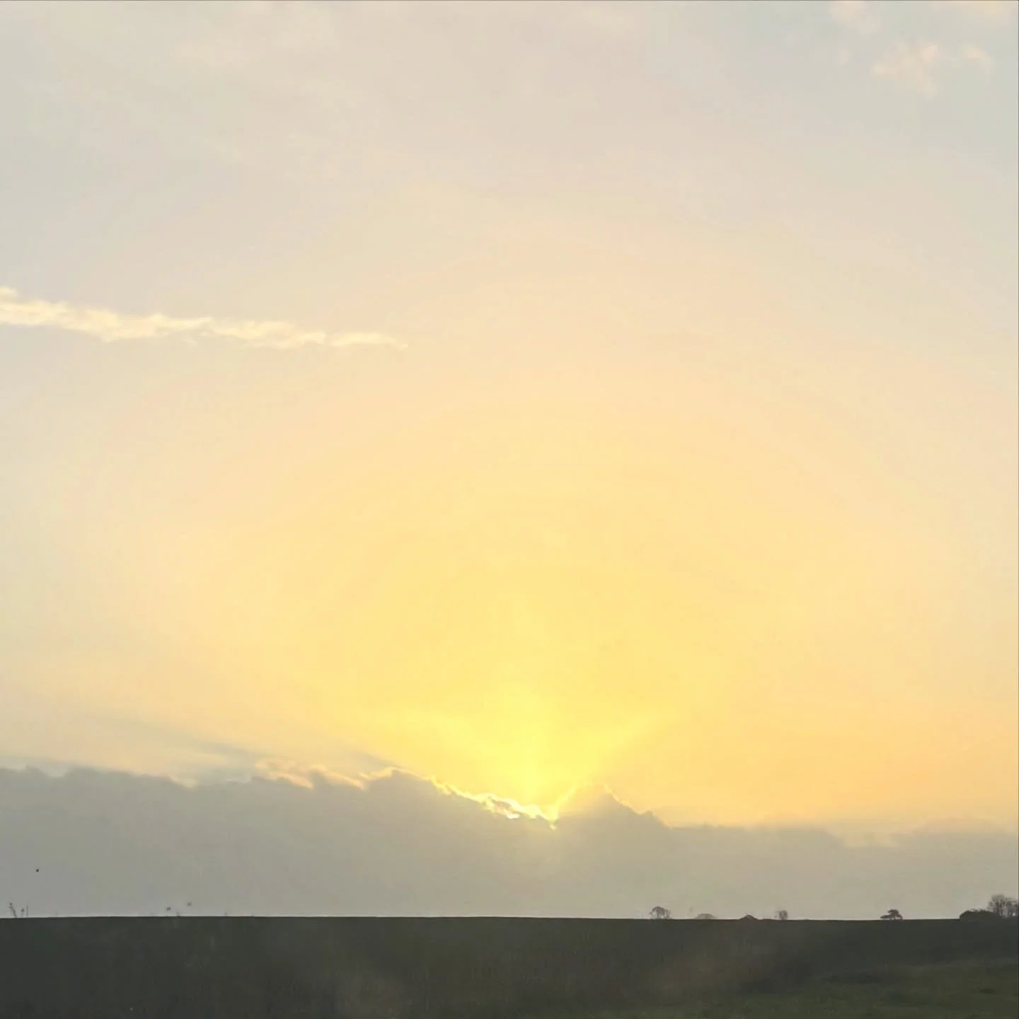 Be the light. 
#usuireiki @the_honeybee_sanctuary 

Grounded, connected, shining like the sun.