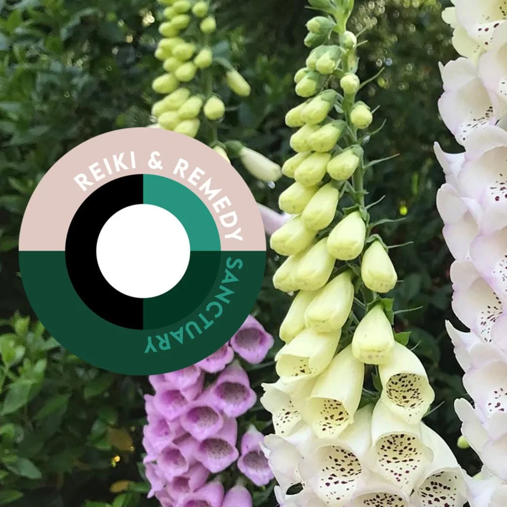 You may notice that The Honeybee Sanctuary has a new name! 

As my work has grown, it&rsquo;s become clear that what I offer centres on Reiki sessions and teaching, herbal remedies, and time spent learning in the herb garden.

While bees and honey re