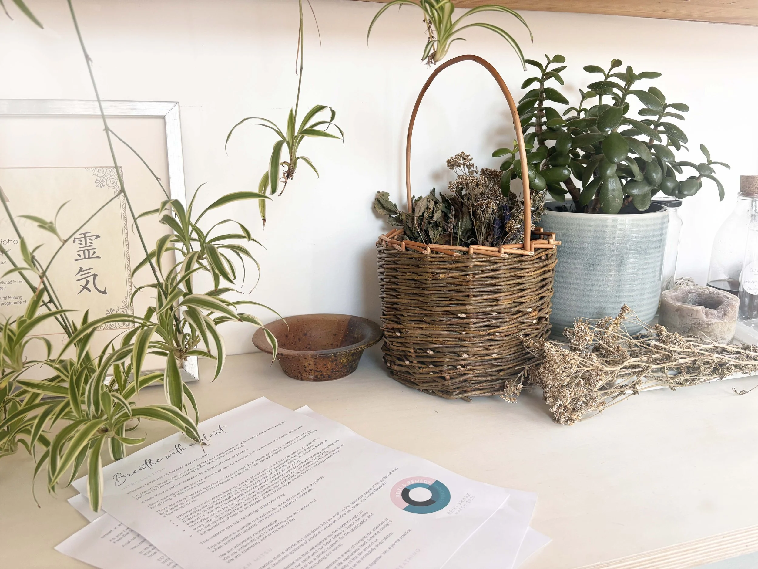 March’s Reiki Share