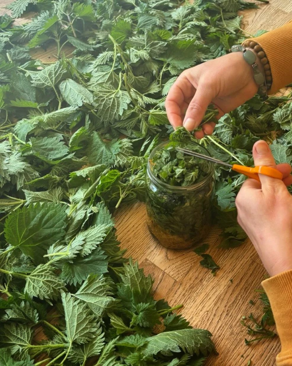 Whole family home today, taking turns to nurse a very poorly pup 🐾 and feeling grateful for my home nettle-patch, keeping my hands busy. 

✨ Embodiment is this month&rsquo;s Reiki Share theme, and it&rsquo;s feeling very fitting this weekend to supp