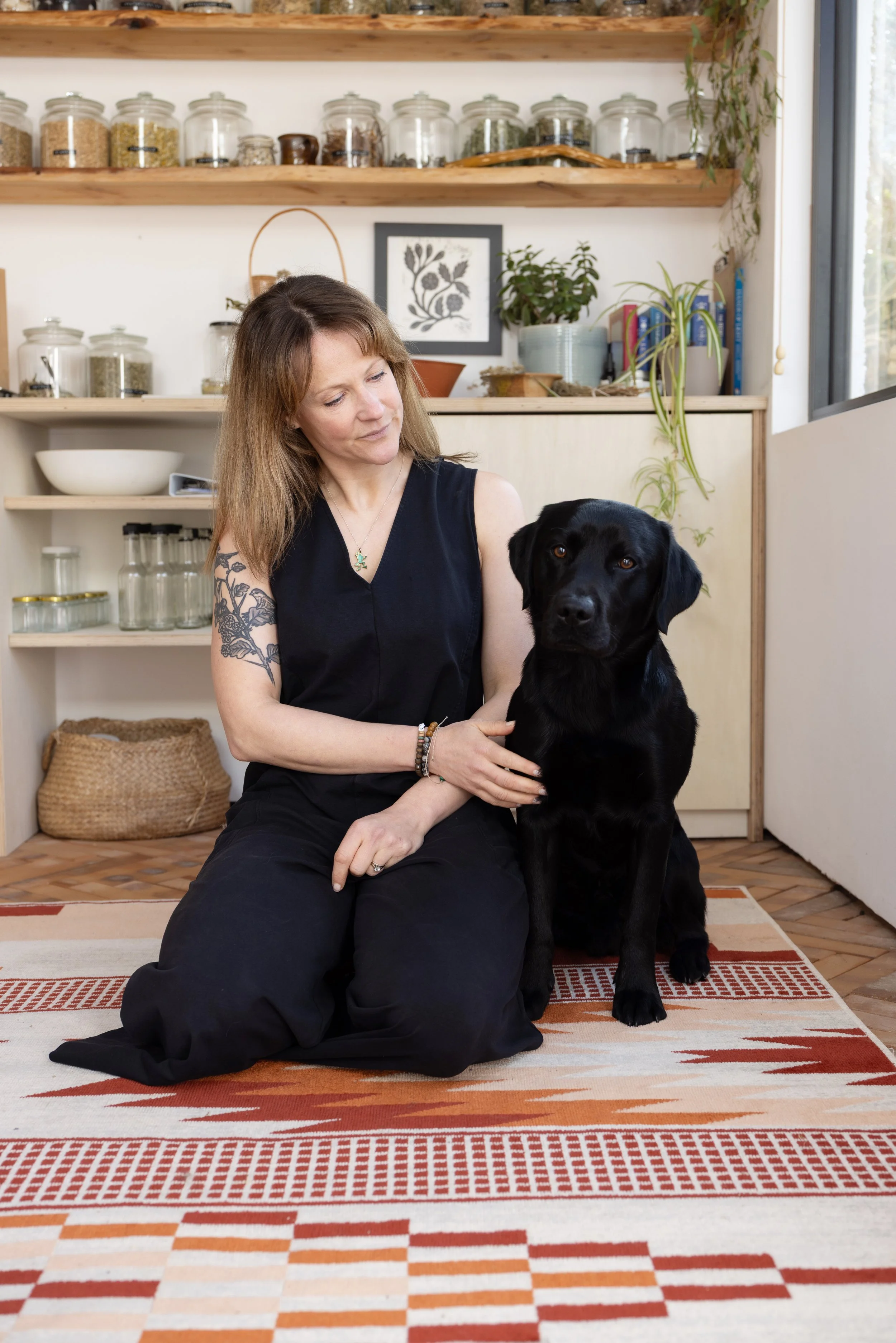 Animal Reiki Therapy