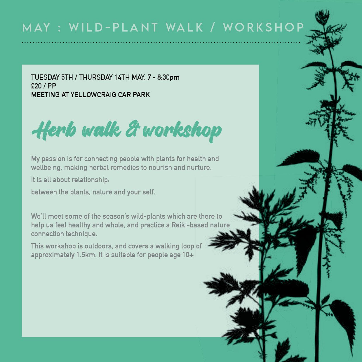 260505_Spring workshops_herbal walk and workshop dates .jpg