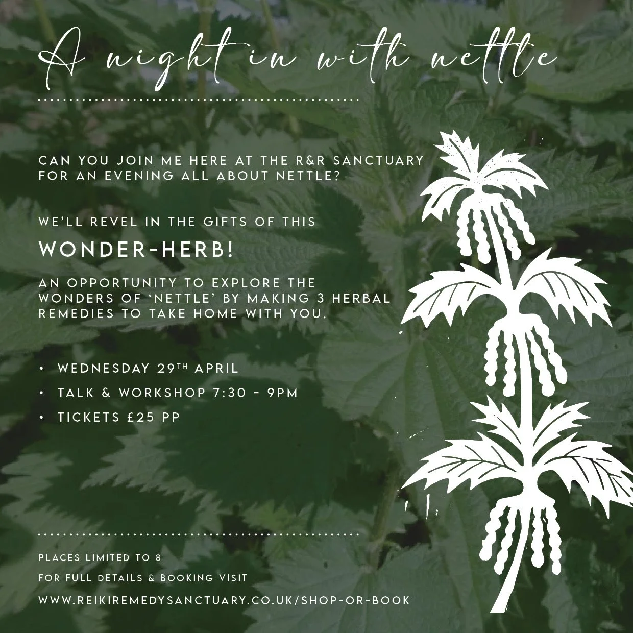 A Night in with Nettle