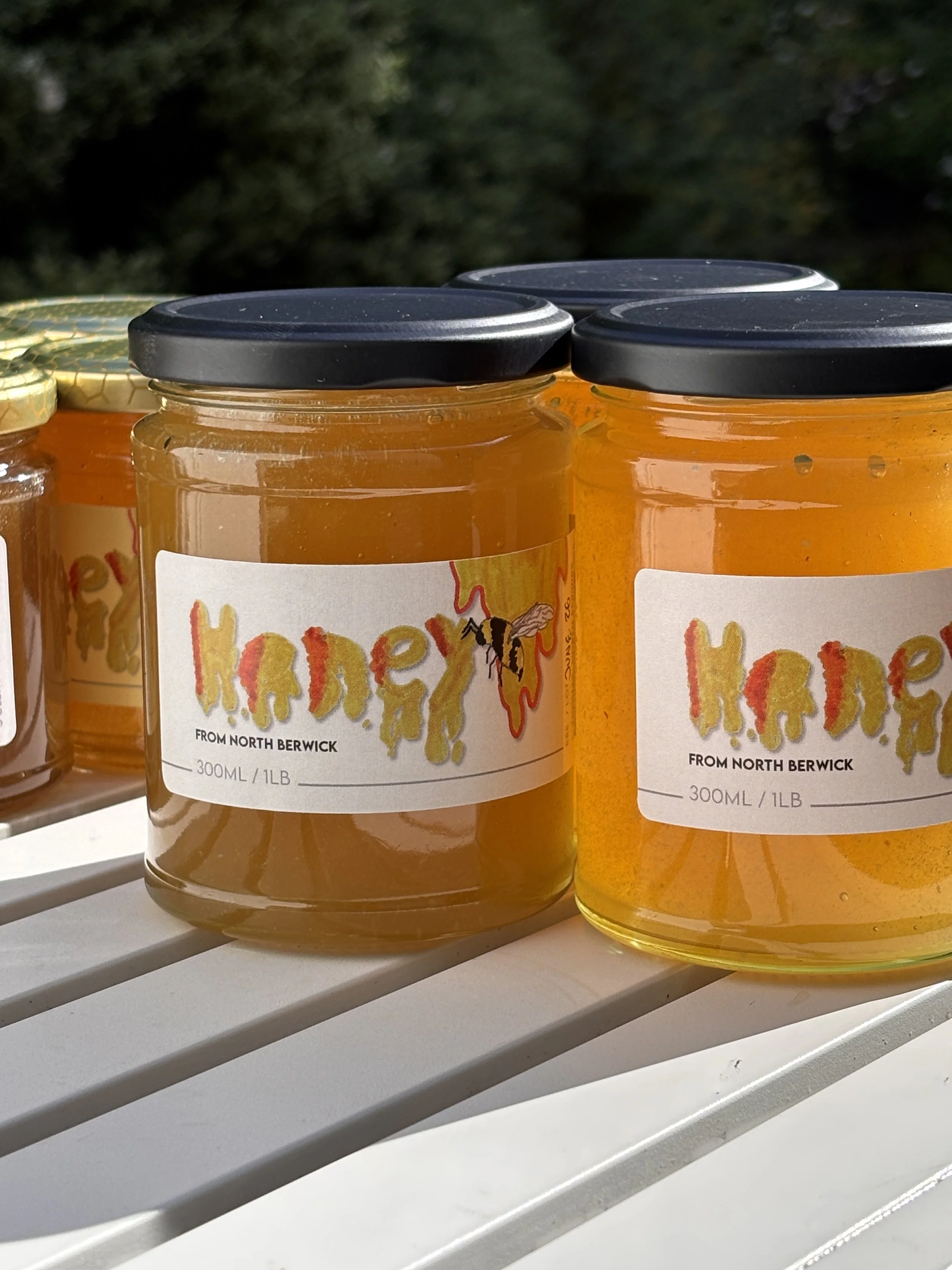 Pure North Berwick honey