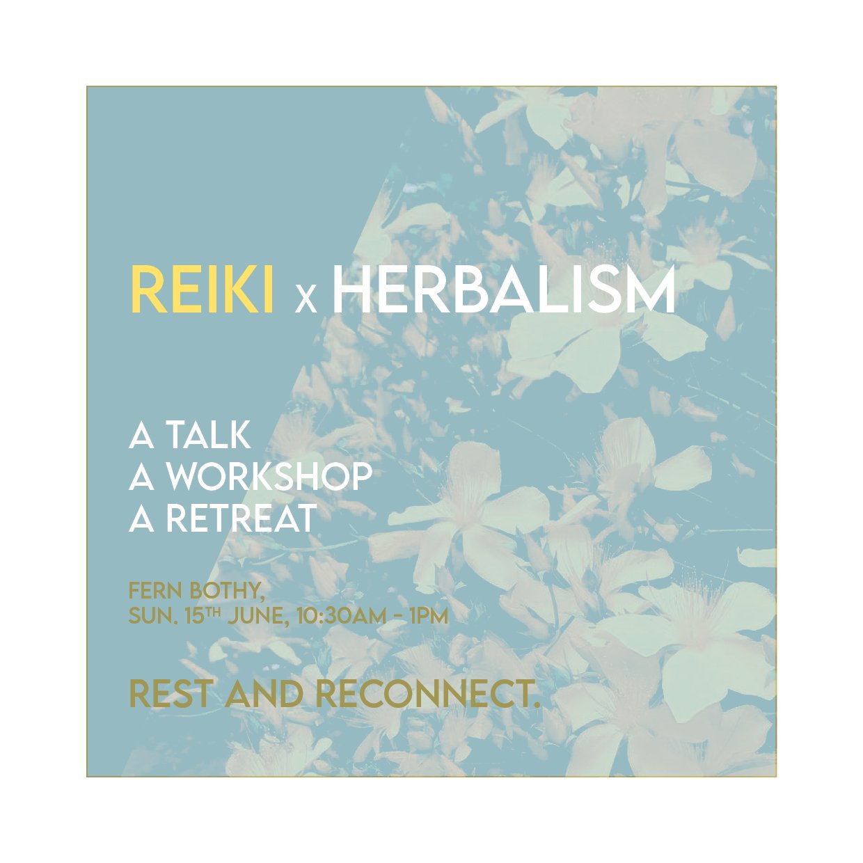 250615_ReikiXherbalism_half-day reiki-and-remedy4.jpg
