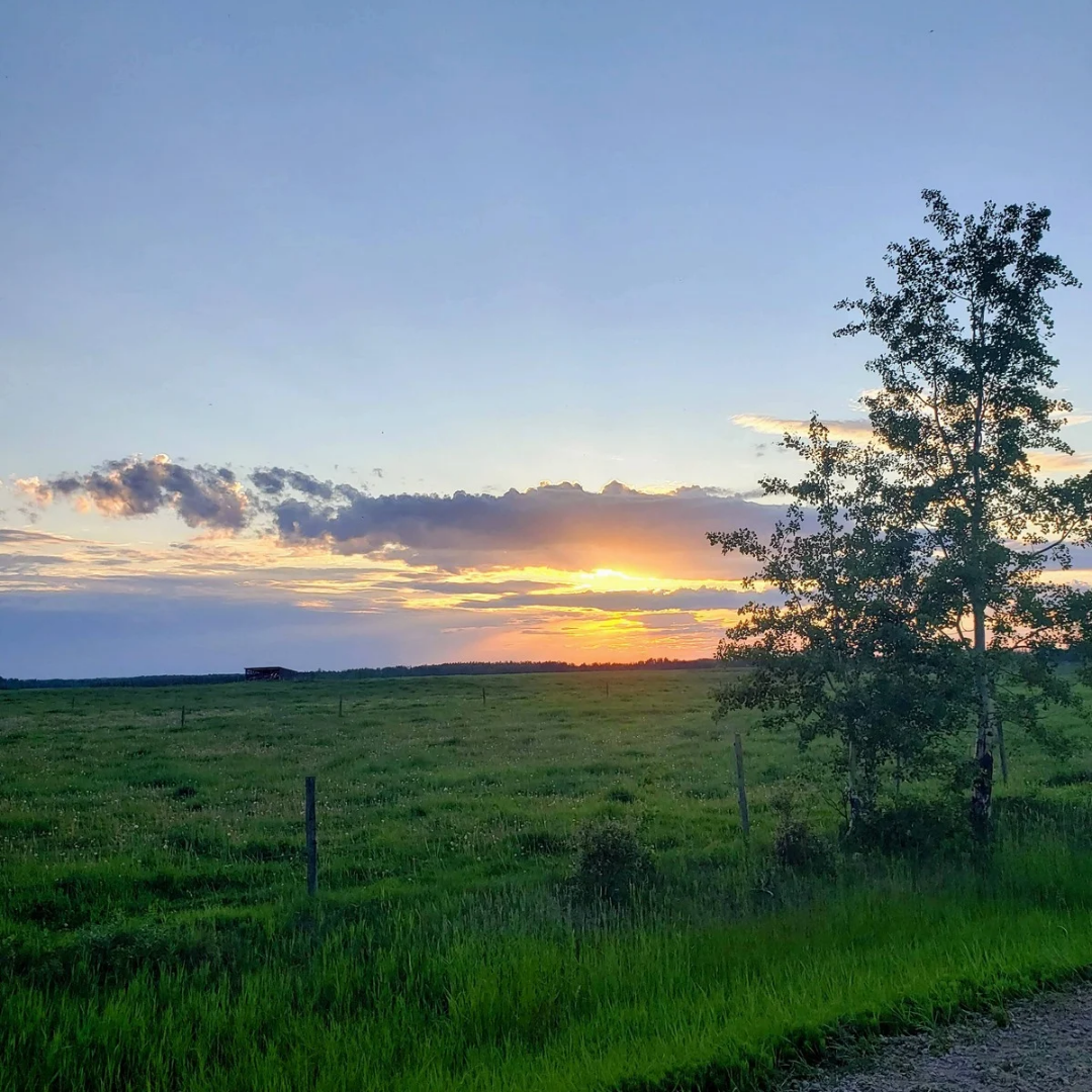 From Loss to Hope – My Journey to BodyTalk