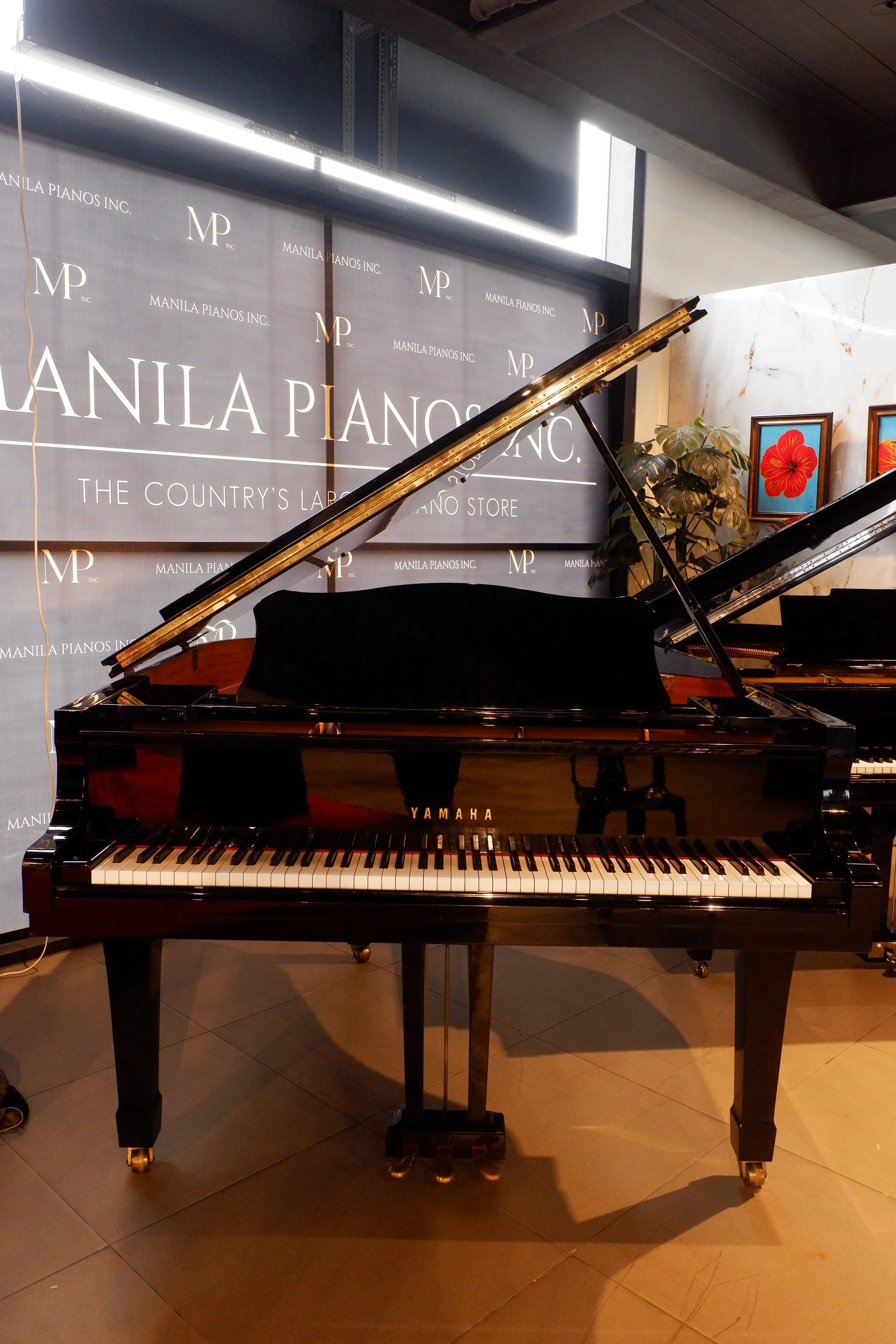 Yamaha C1