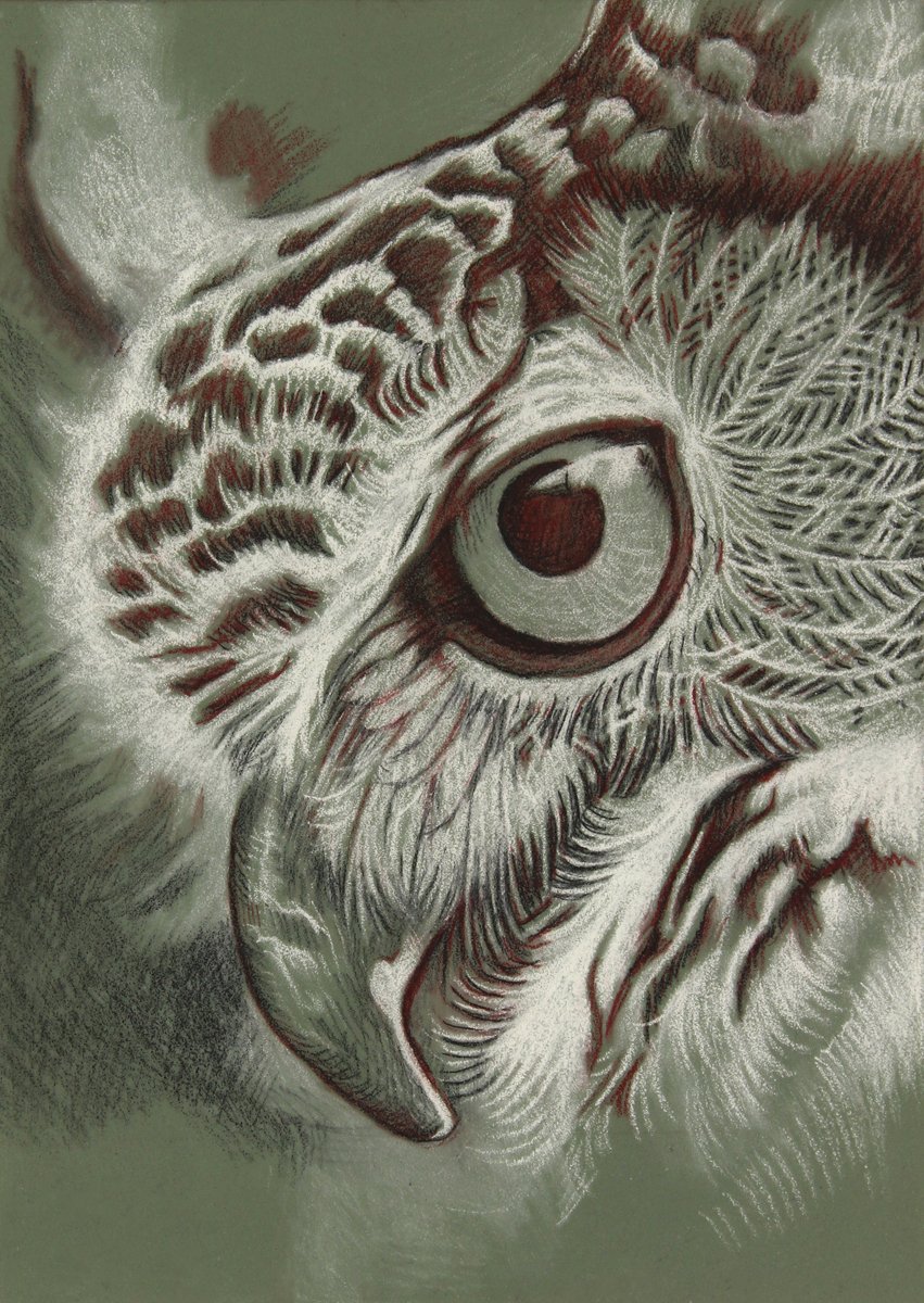 Great Horned Owl Profile - Print