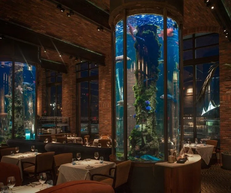 Restaurant featuring floor to ceiling aquarium.