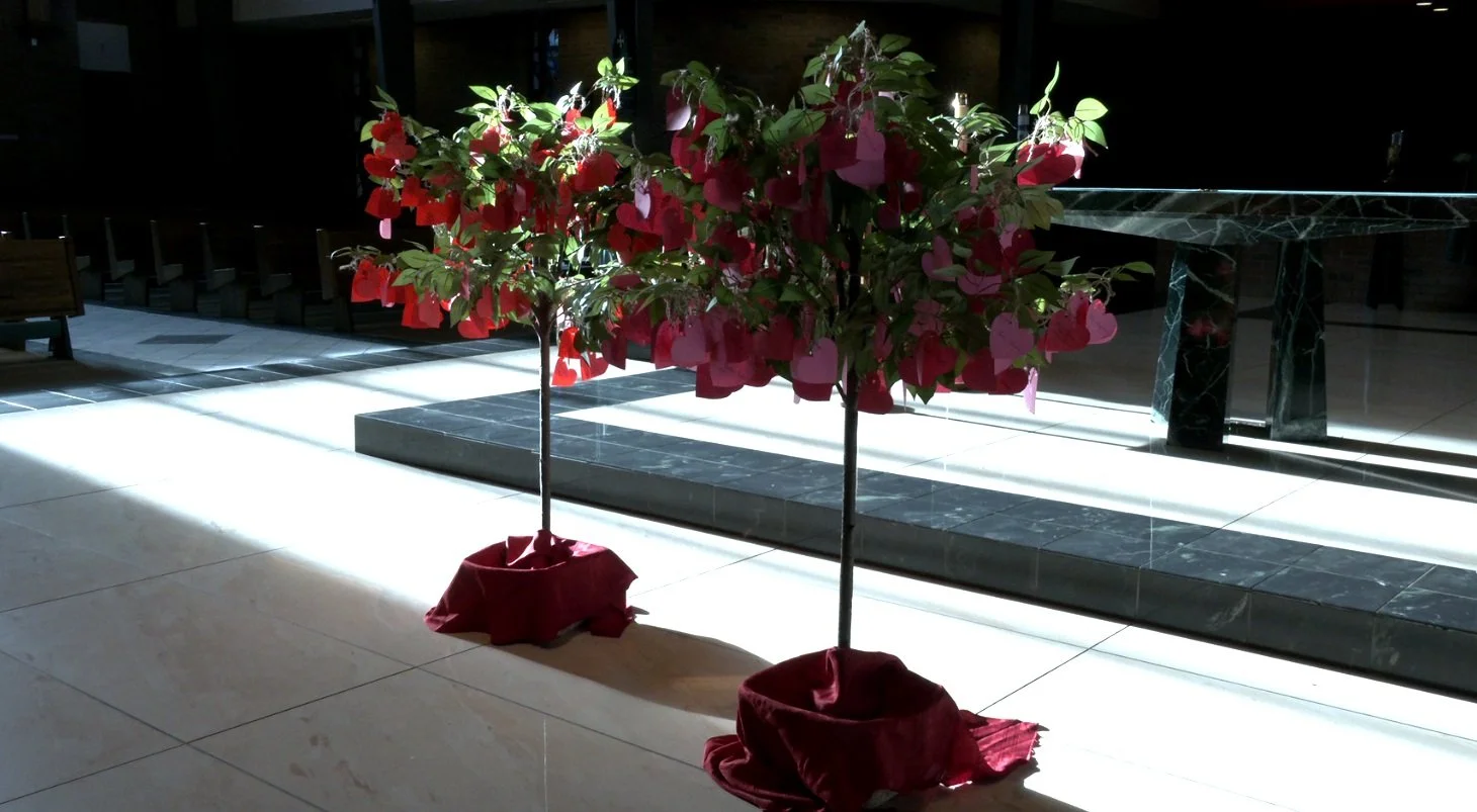 World Day of the Sick Tree Blessings