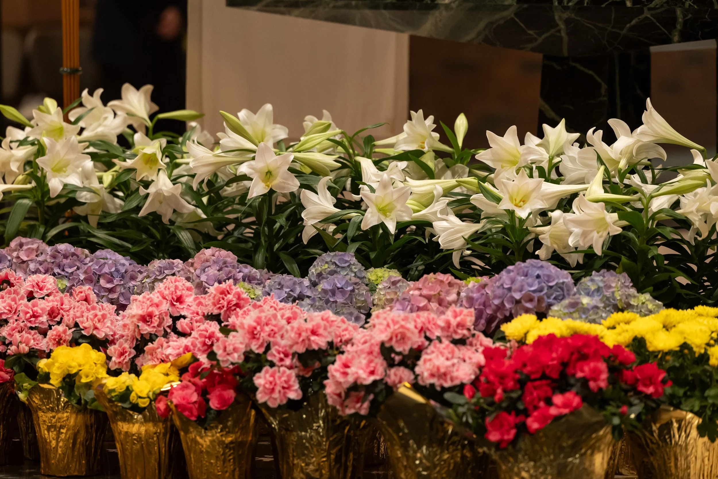 04.04.26 SPX 0078.jpg