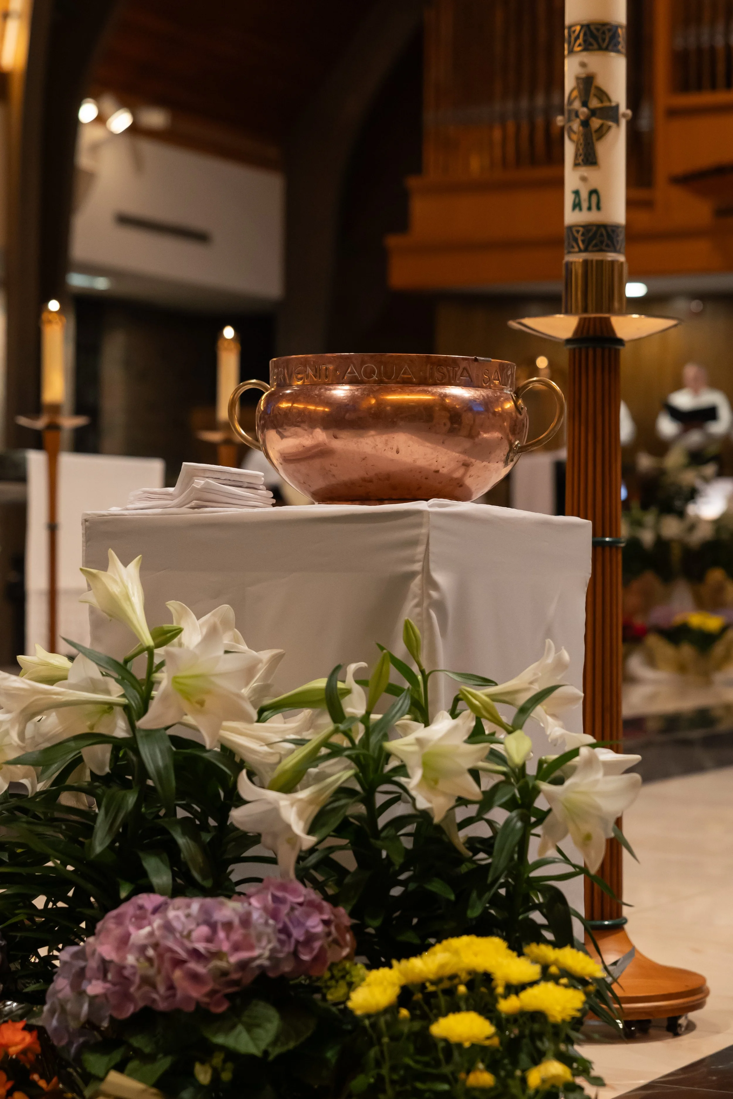 04.04.26 SPX 0077.jpg