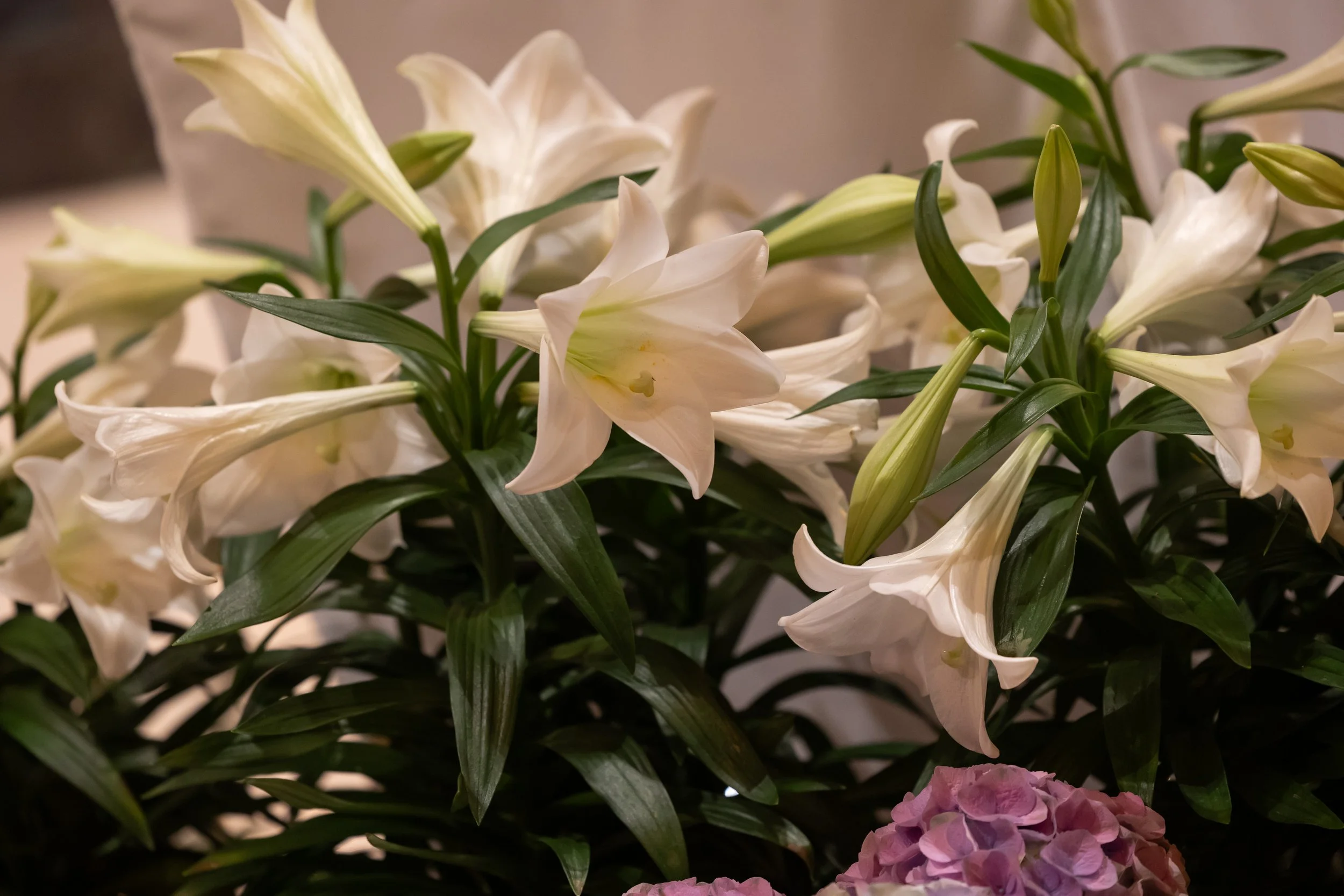 04.04.26 SPX 0084.jpg