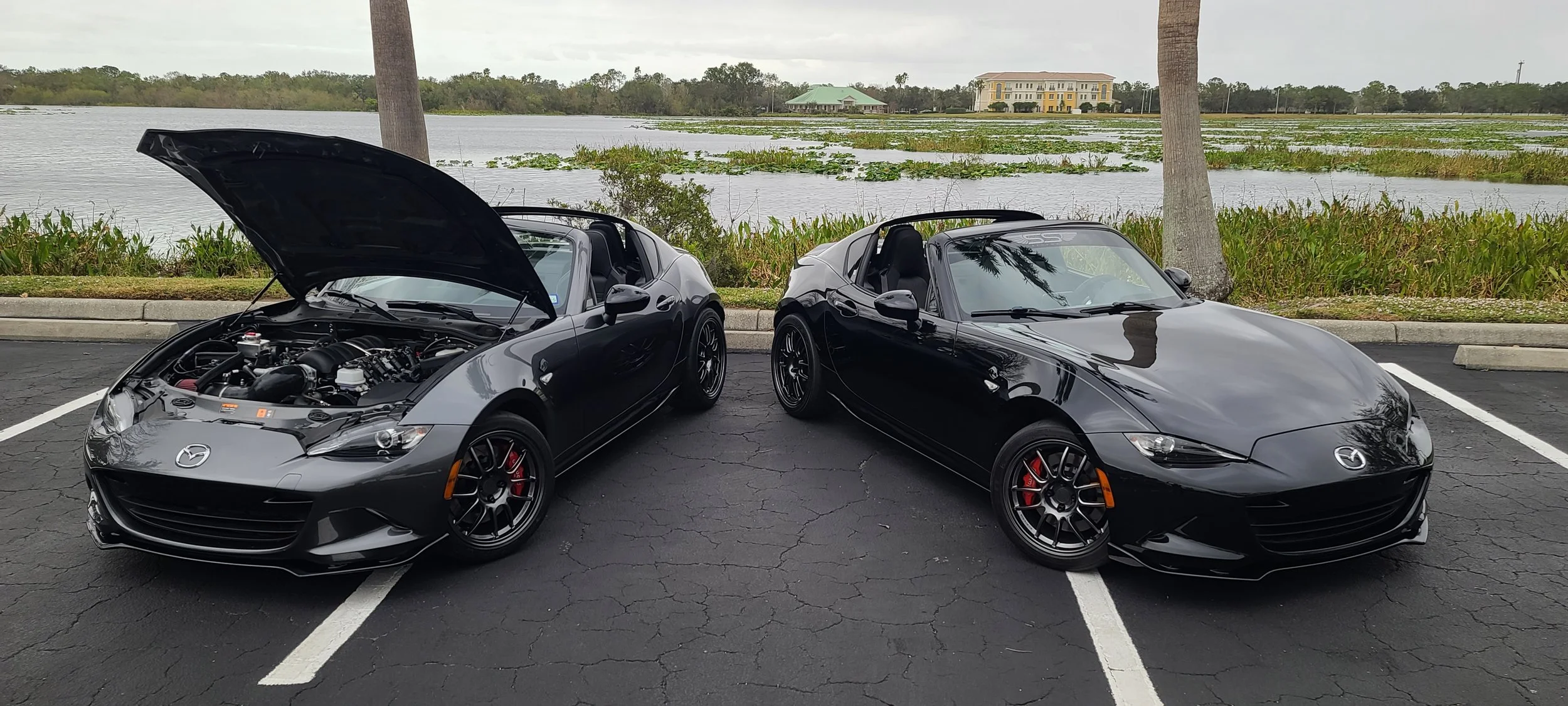 Two black Mazda MX-5 Miata sports cars parked side by side in a parking lot near a body of water with some greenery, one with its hood open.