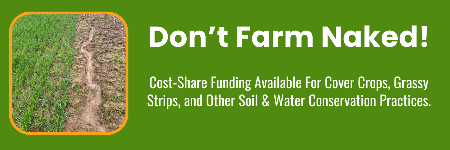 Banner Naked April 2026.png