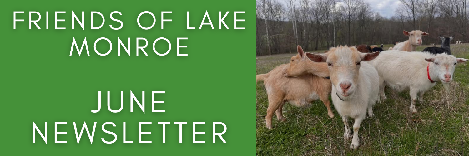 Image of goats and words "Friends of Lake Monroe June Newsletter"