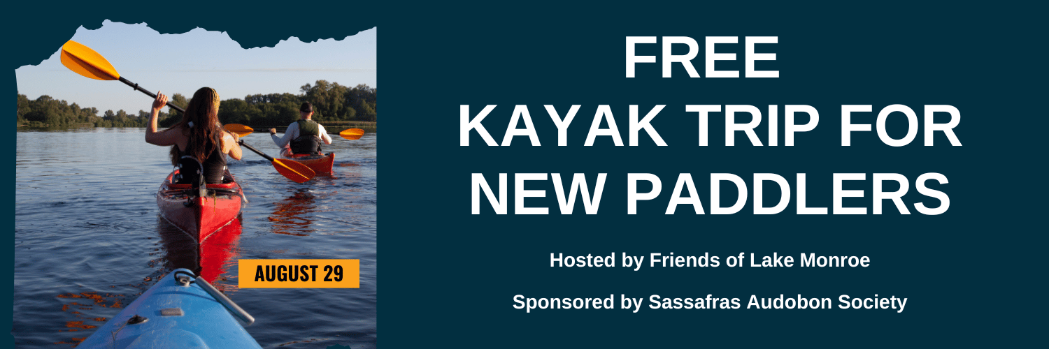 picture of kayakers with title "Free Kayak Trip for New Paddlers August 29"