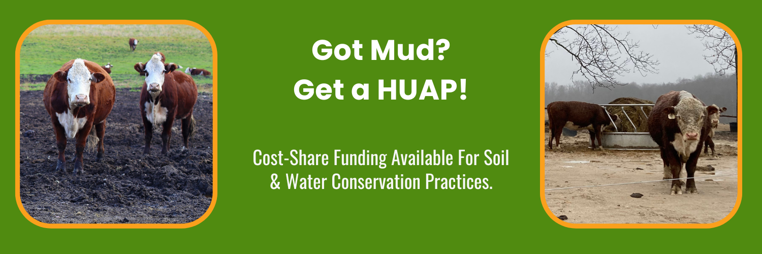 Banner Mud April 2026.png
