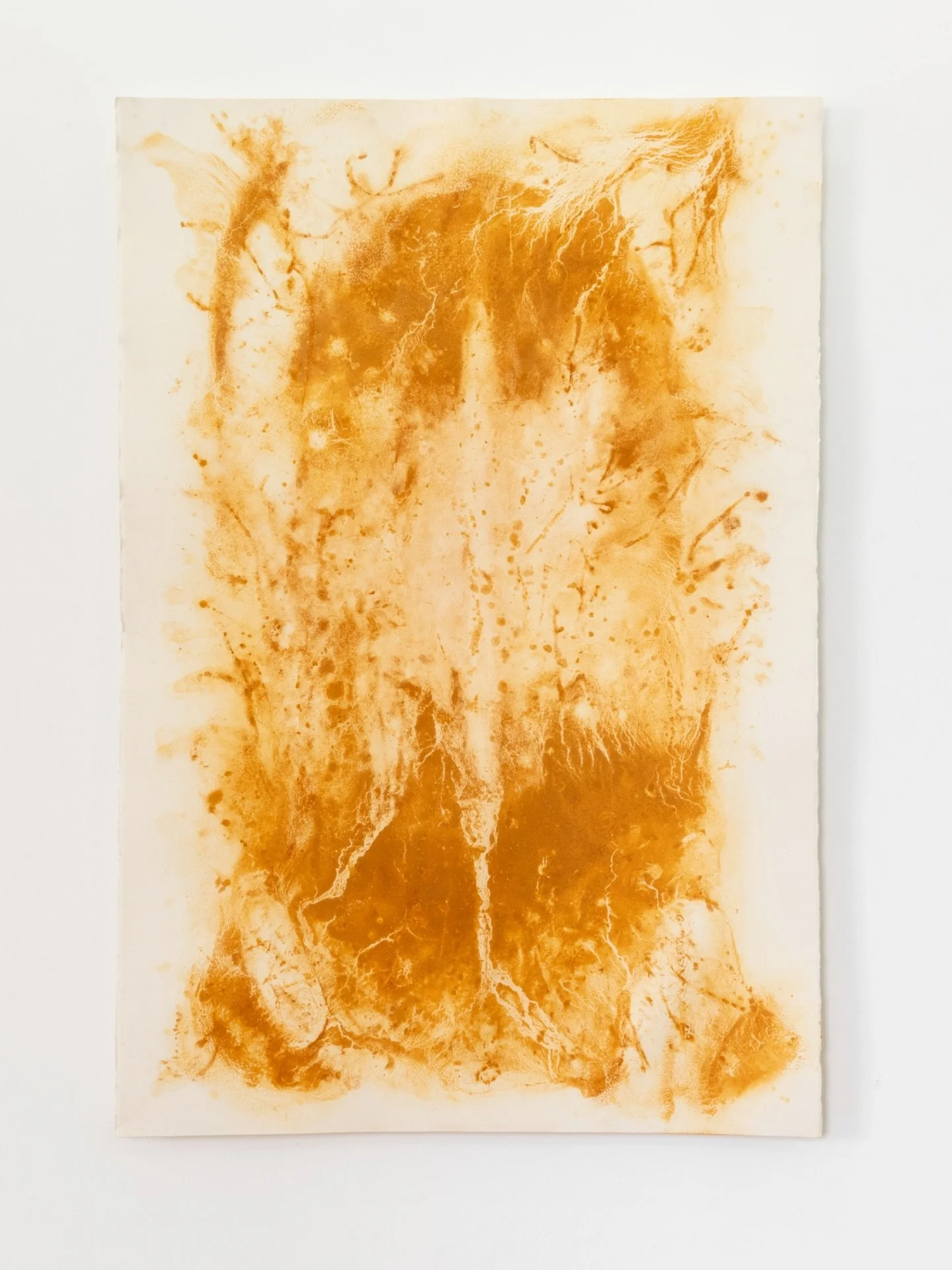 🌊 &ldquo;Si llevan agua, son r&iacute;os. Si no, son caminos.&rdquo; &mdash; Humberto Ak&rsquo;abal

Esta exposici&oacute;n explora lo que fluye y lo que se detiene: memorias de cuerpos y territorios que navegan, resisten o siguen movi&eacute;ndose 